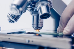 Innovation and expertise at the core of our product development