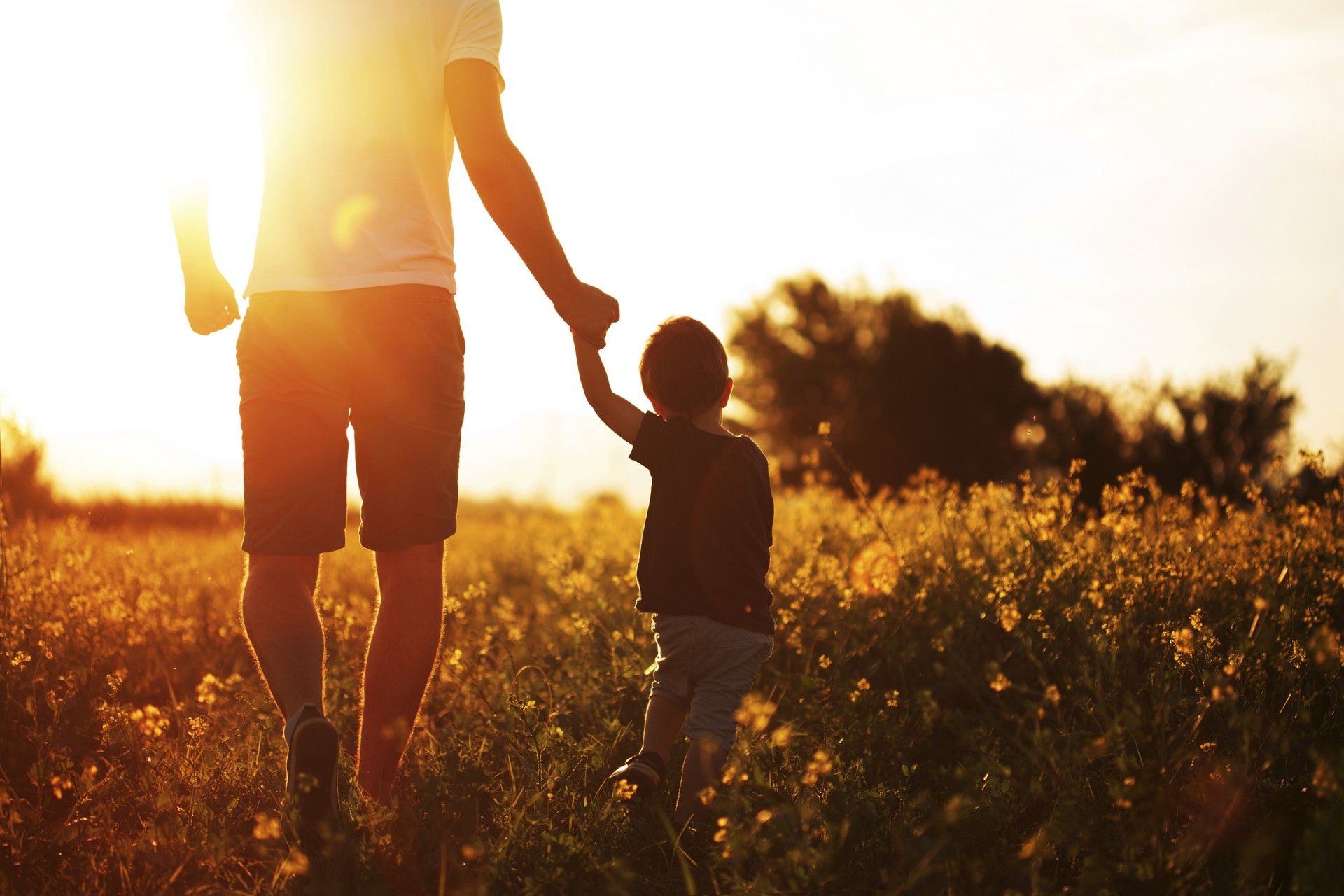 Lactalis Nutrition Santé, A solution for every nutritional situation