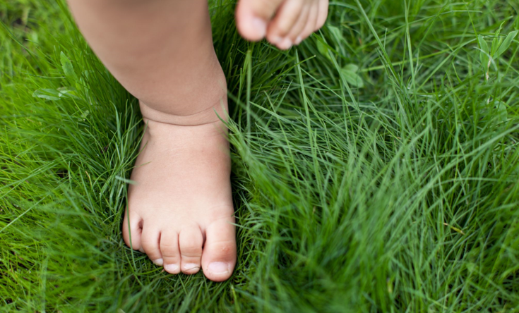 LACTALIS_bio_nutrition infantile