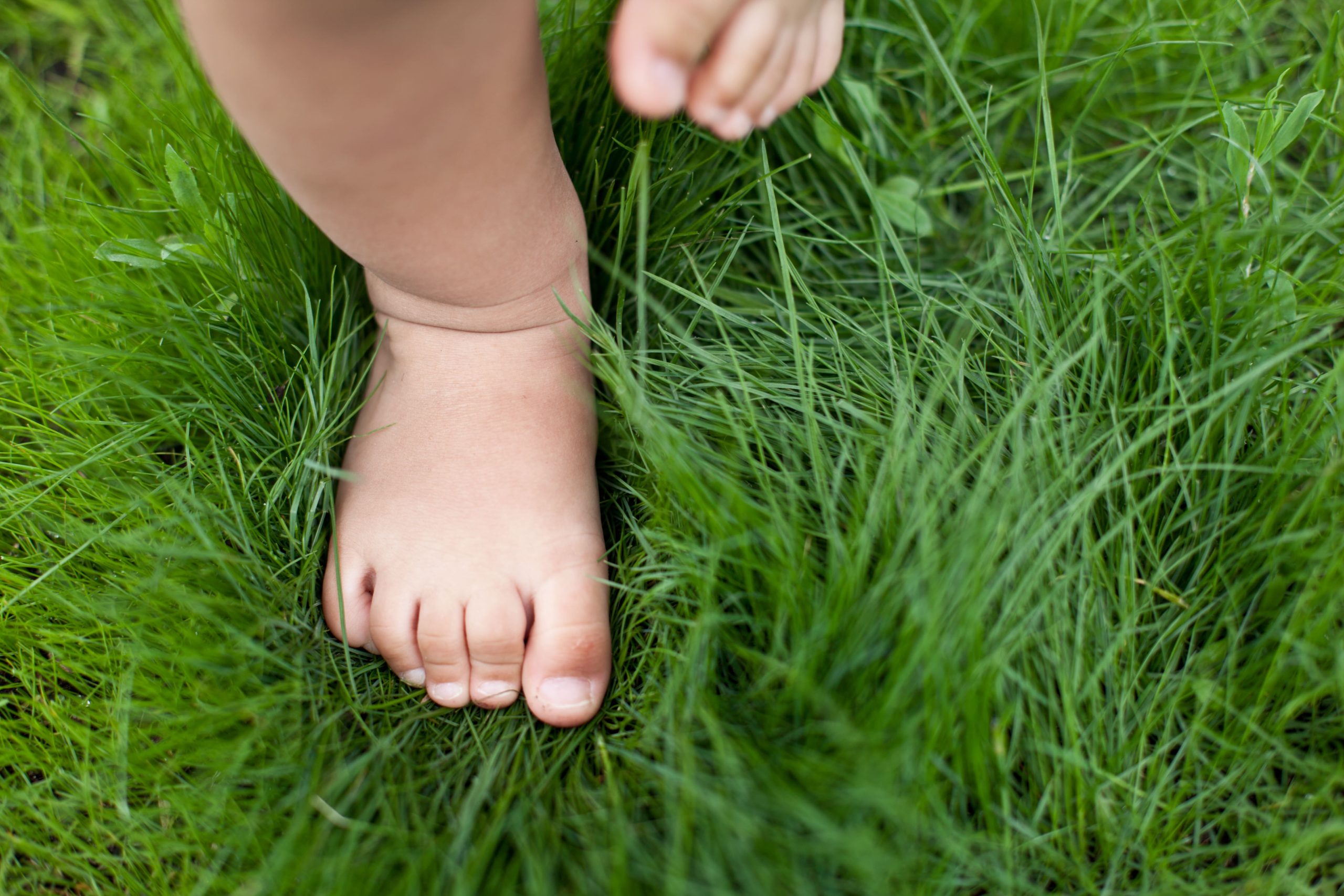 Baby Walking In The Grass